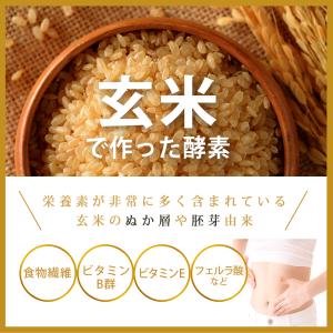 酵素 粉末 サプリ [ 約33日分 100g×...の詳細画像3