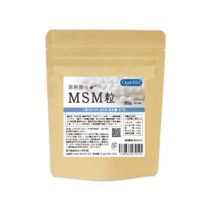 3袋セット 】 保阪流極 すらり生活 ブラックジンジャー 27.9g ( 310mg
