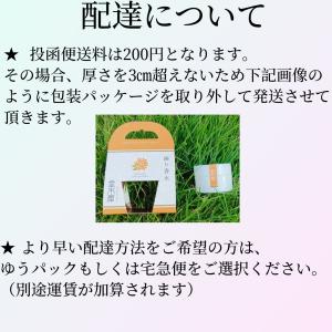練り香水レディース 選べ10種類花・果実の香り...の詳細画像1