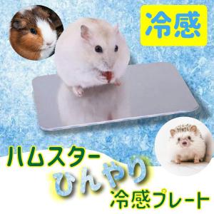 小動物用クールマット！ハムスター ハリネズミ 体温調整