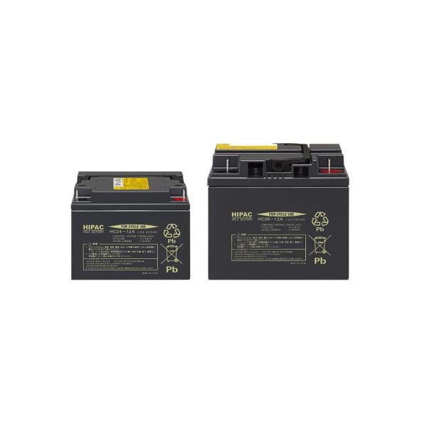 HC38-12A エナジーウィズ （ 昭和電工 ） バッテリー セニアカー