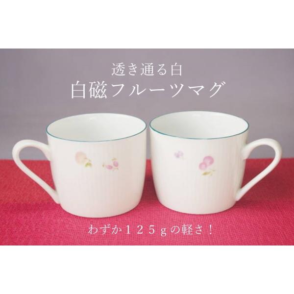 MC042　白磁フルーツマグカップ   [美濃焼/日本製/陶磁器/アウトレットこみ]