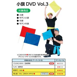 名入れ代込 小旗 丸棒φ8mm 全15色 アー...の詳細画像2