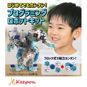 Artecブロックアーテックロボ アドバンス アーテックブロック ロボットプログラミング プログラミング教材 小学校 キット 小学生 子供 子ども プレゼント 誕生日