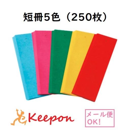 短冊5色（250枚）(4個までメール便可) 七夕 たなばた 折り紙 飾り 短冊 飾り付け 穴 折り紙...