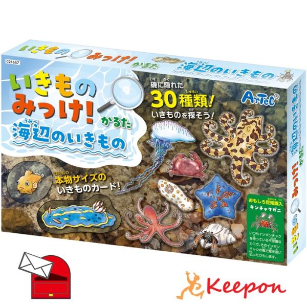 いきものみっけ！かるた うみべのいきもの(メール便可) アーテック カードゲーム 小学生 幼稚園 子...