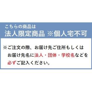 【個人宅不可・代引き不可】特大旗 丸棒φ12m...の詳細画像4