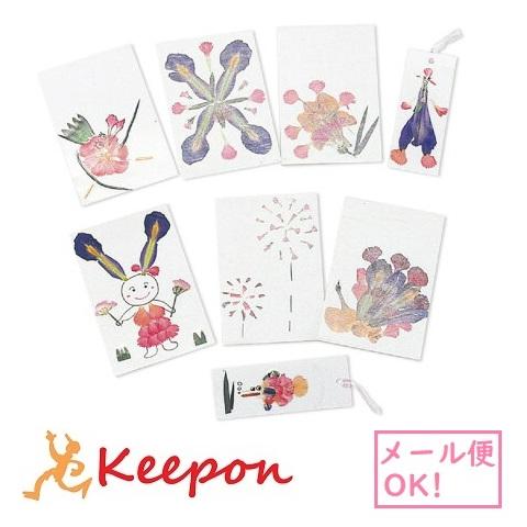 押し花セット(メール便可) 　アーテック キット 押し花 手作り ハンドメイド しおり クラフト 工...