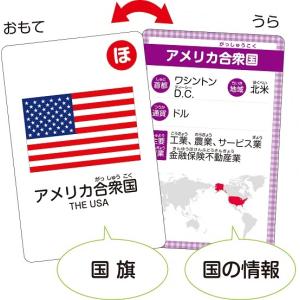 国旗かるた(5個までメール便可) アーテック ...の詳細画像3