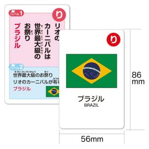 国旗かるた(5個までメール便可) アーテック ...の詳細画像4