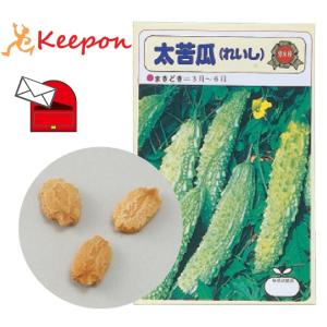 野菜の種 ツルレイシ(苦瓜) 約10粒 メール便可) アーテック 家庭菜園 栽培 トマト 家庭栽培 ...