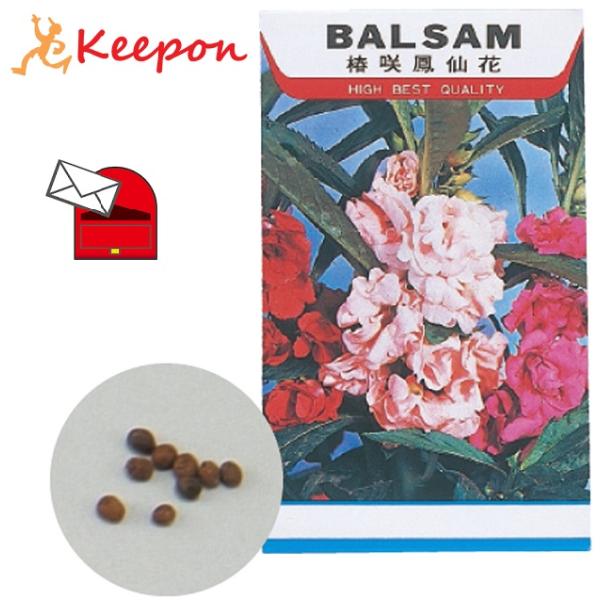 花の種 ホウセンカ約35?40粒 (メール便可) アーテック 家庭菜園 栽培 家庭栽培