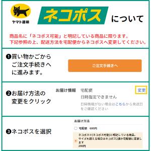 花の種 ホウセンカ約35?40粒 (メール便可...の詳細画像2