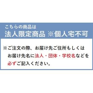 【法人限定 代引き不可】 背負えるファンシーち...の詳細画像5