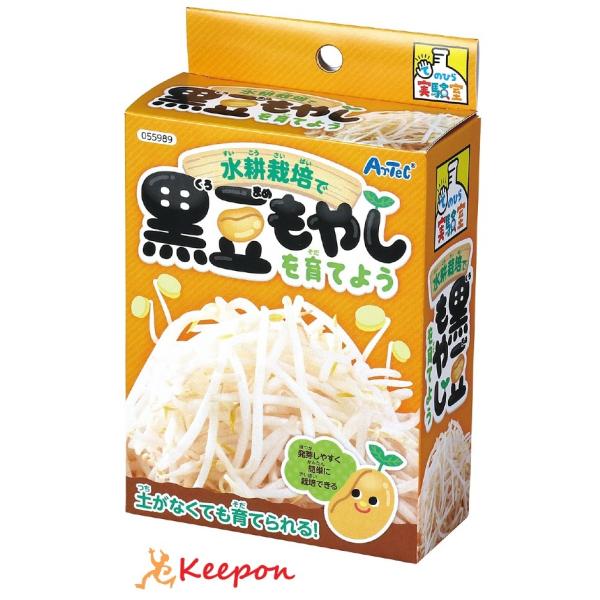 実験キット 夏休み 水耕栽培で育てる黒豆もやし アーテック 工作 夏休み 自由研究 実験 実験キット...