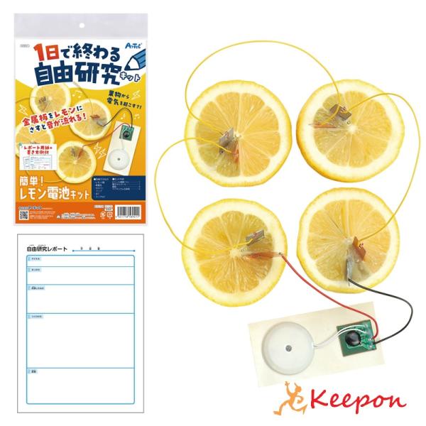 1日で終わる自由研究キット 簡単！レモン電池 アーテック 夏休み工作 冬休み 女の子 男の子 クラフ...