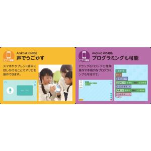 プログラミングトイ alilo アリロ 基本セ...の詳細画像5