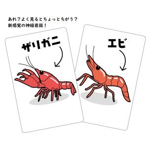 そっくりメモリーカード (11個までメール便可...の詳細画像2