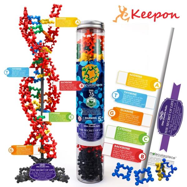 モレキュラーピース（DNA) ブロック おもちゃ 科学の力 立体 分子 プレゼント 小学生 インカス...