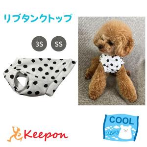 ハロウィンコスチューム ラグランTシャツ半袖 犬 小型犬 可愛い