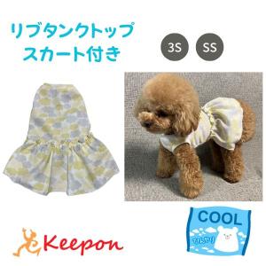 ハロウィンコスチューム ラグランTシャツ半袖 犬 小型犬 可愛い