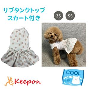 ハロウィンコスチューム ラグランTシャツ半袖 犬 小型犬 可愛い