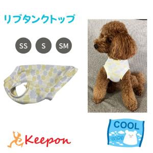 ハロウィンコスチューム ラグランTシャツ半袖 犬 小型犬 可愛い