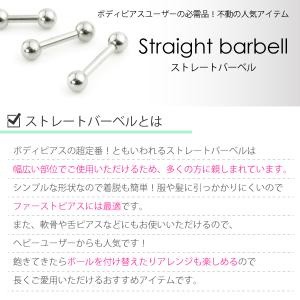 定番 ショート ストレート バーベル 14G ...の詳細画像3