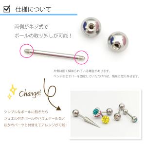 定番 ショート ストレート バーベル 16G(...の詳細画像4