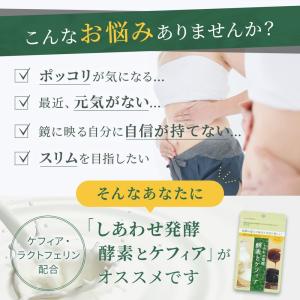 ラクトフェリン 水なしOKサプリ しあわせ発酵...の詳細画像3