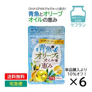 まとめ買い 青魚とオリーブオイルの恵み 6袋 DHA EPA 青魚 魚 オイル リノレン酸 オリーブオイル サプリメント