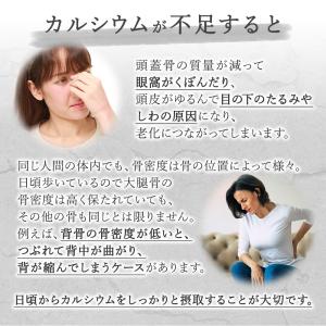 ケフィア ヨーグルト 手作り 種菌 オリジナル...の詳細画像5