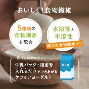ケフィア ヨーグルト 手作り 種菌 オリジナル...の詳細画像2