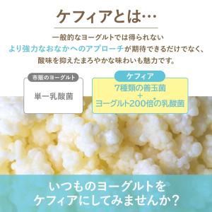ケフィア ヨーグルト 簡単 手作り 種菌 オリ...の詳細画像3