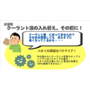 ザラキン 強力殺菌&クーラントシステム洗浄クリ...の詳細画像1