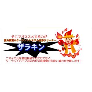 ザラキン 強力殺菌&クーラントシステム洗浄クリ...の詳細画像2
