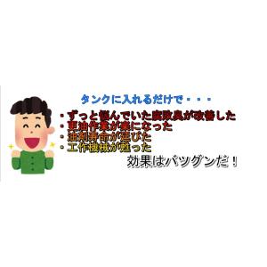 ザラキン 強力殺菌&クーラントシステム洗浄クリ...の詳細画像3