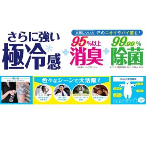 ひんやりシャツシャワー ストロング ミントの香...の詳細画像1