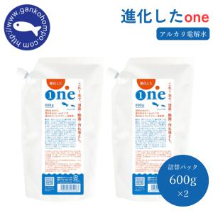 がんこ本舗 (10%OFFクーポン)( 海へ… fukii 3kg BOX ) 詰め替え がんこ