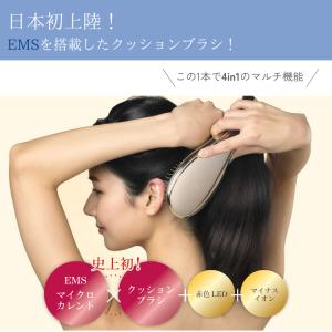 wavewave クッションブラシ EMS B...の詳細画像1