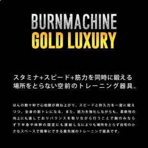 モニタリング バーンマシン ゴールドラグジュア...の詳細画像5