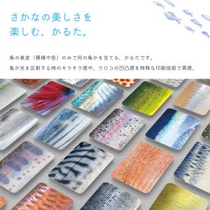 さかなかるた フルセット 通常盤 淡水魚版 伝...の詳細画像2