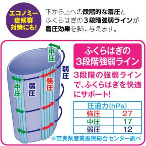 立ち仕事MOMI×2 モミモミ ふくらはぎ サ...の詳細画像3