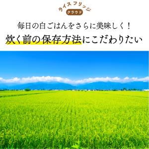 ライスフリッジ クラウド 白米11kg 保冷米...の詳細画像4