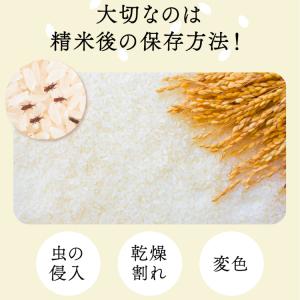 ライスフリッジ クラウド 白米11kg 保冷米...の詳細画像5