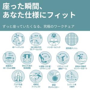 正規販売代理店 Rasical Chair E...の詳細画像1