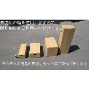 玉竜 タマリュウ たまりゅう 70ポットセット...の詳細画像3