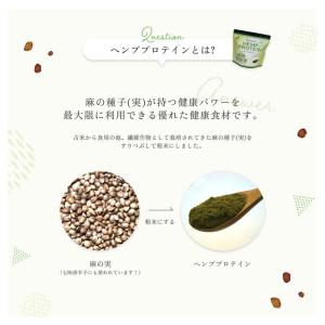 ヘンププロテイン ニューサイエンス BCAA ...の詳細画像2