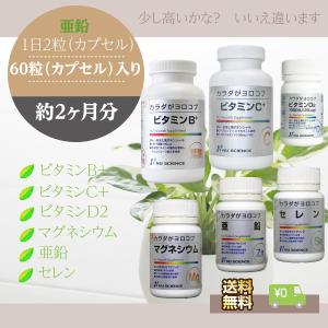 カラダがヨロコブ 亜鉛 ニューサイエンス 60...の詳細画像1