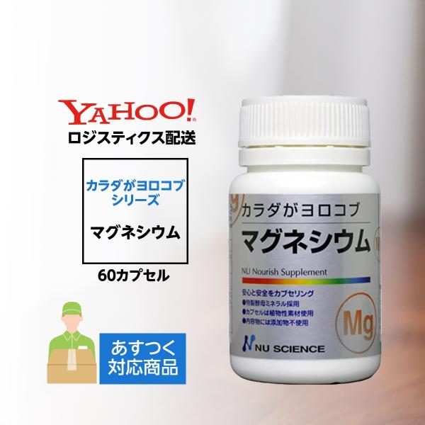 カラダがヨロコブマグネシウム ニューサイエンス 北海道・沖縄向け送料無料 ロジスティクス配送 爆買